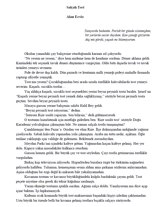 Salçalı Tost - Sayfa 1