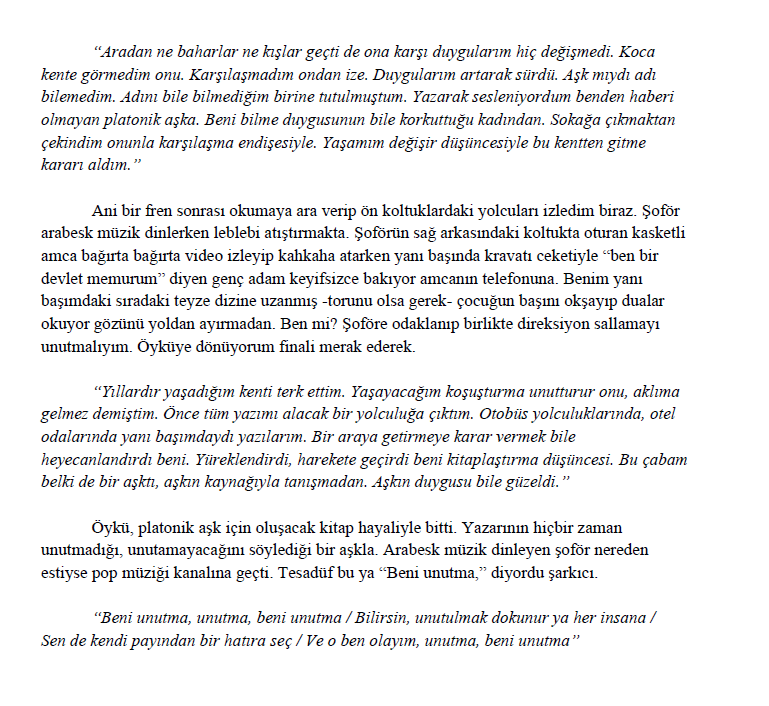 Unutulmayan Aşk - Sayfa 2